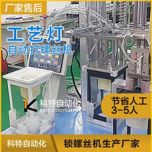 工藝燈四軸機械手自動鎖螺絲機視頻案例